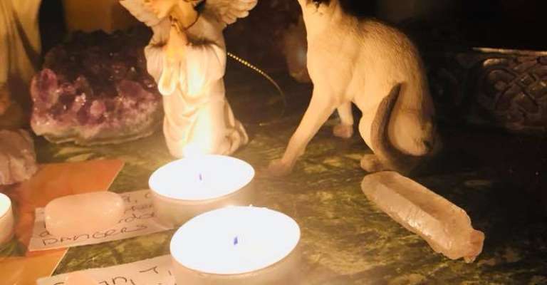 37003588_670659306611608_6919017835104567296_n