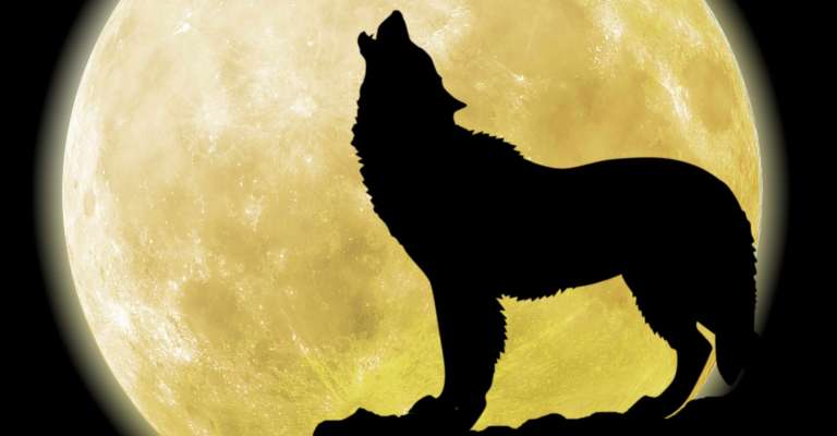 Copy of Wolf Moon
