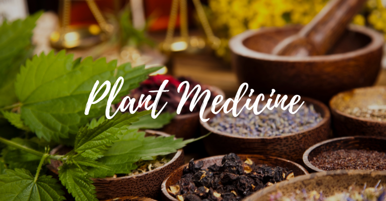 Plant Medicine